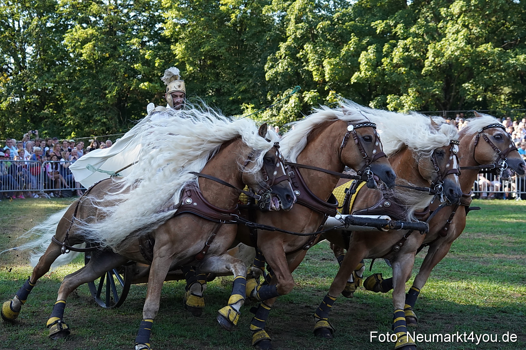 Pferde und Fohlenschau 2022 0029 